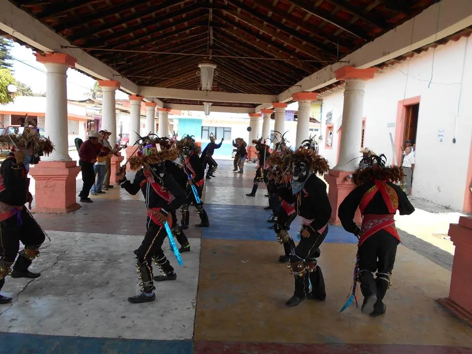 Negros 8